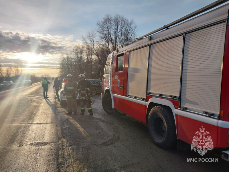 День народного единства: праздник с пользой и без происшествий